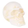 Cast Iron Human Skull Paperweight - Unique Desk Decor and Office Gift